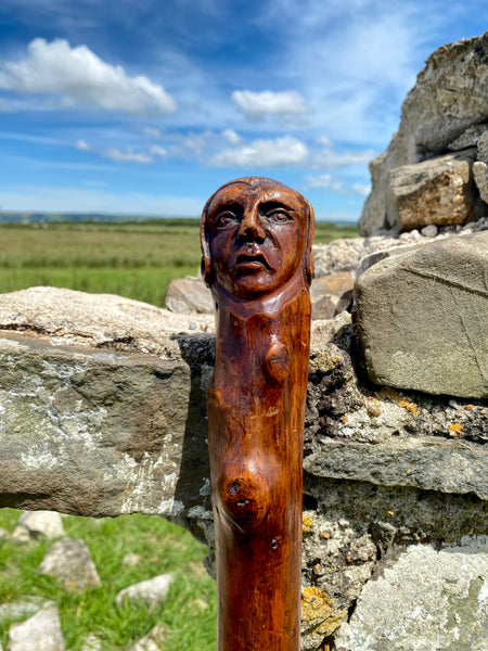 Fabulous 19th Century Folk Art Hedgerow Walking Cane With Carved Head & Horn Tip