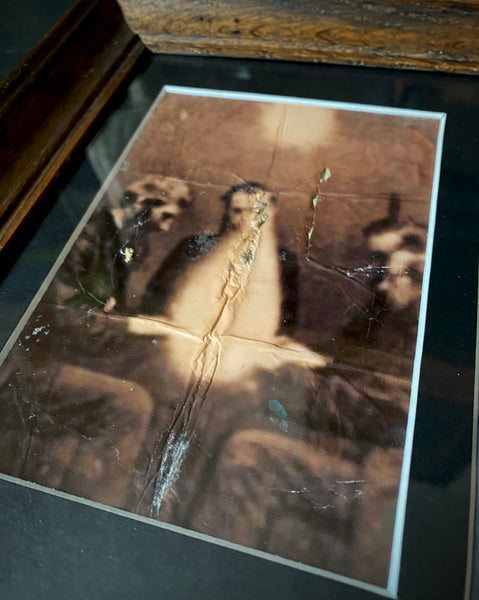 Framed Archival Photograph Display Documenting Physical Mediumship & Ectoplasm Phenomena