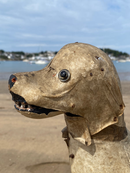 Early 20th Century Haunting Folk Art Dog With Opening Mouth & Pop Out Eye