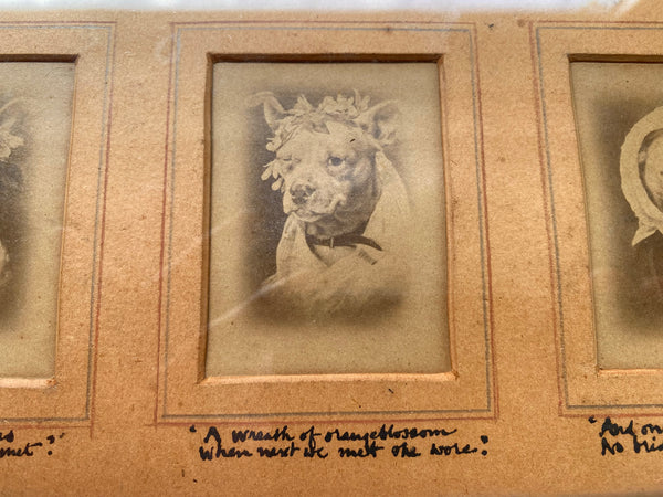 Rare Antique 19th Century Pet Dog Memorial Showing 3 Stages Of It’s Life With Poems Underneath - Source Vintage
