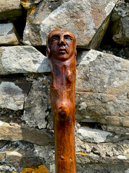 Fabulous 19th Century Folk Art Hedgerow Walking Cane With Carved Head & Horn Tip