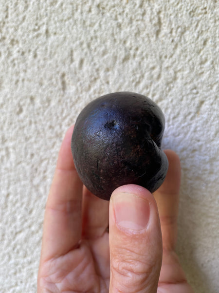 Curious Rare Antique Petrified Apple