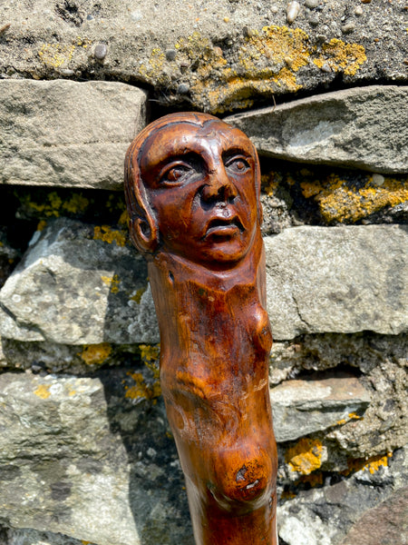 Fabulous 19th Century Folk Art Hedgerow Walking Cane With Carved Head & Horn Tip