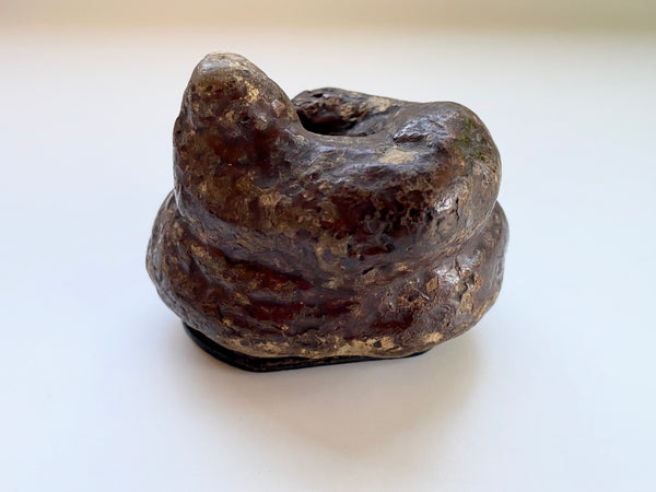 Antique 19th Century Victorian Novelty Papier Mache Snuff Box In The Form Of A Turd - Source Vintage