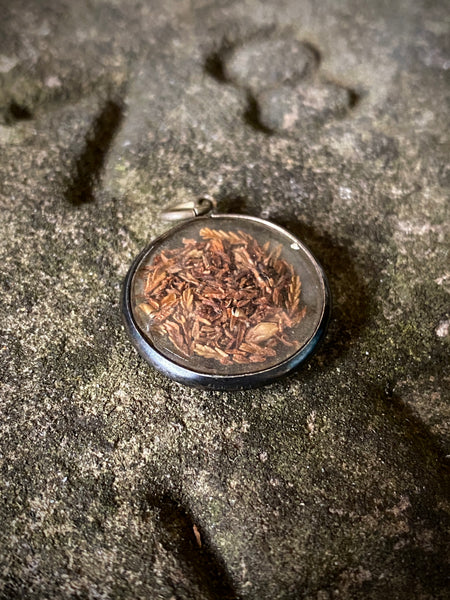 Antique 19th Century Silver Locket Containing Dried White Heather To Protect Against Witchcraft, Curses & Malicious Spirits - Source Vintage