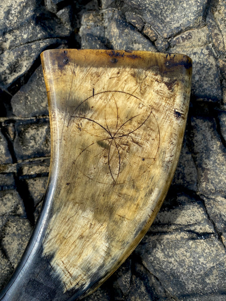 Antique 19th Century Powder Horn Featuring A Prominent Daisy Wheel Or Hexafoil