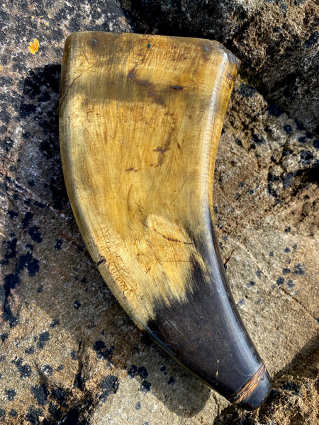 Antique 19th Century Powder Horn Featuring A Prominent Daisy Wheel Or Hexafoil