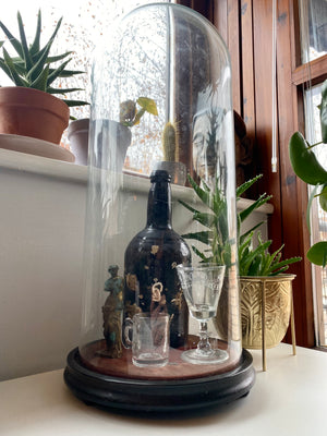 19th Century Large Glass Dome On Wooden Stand