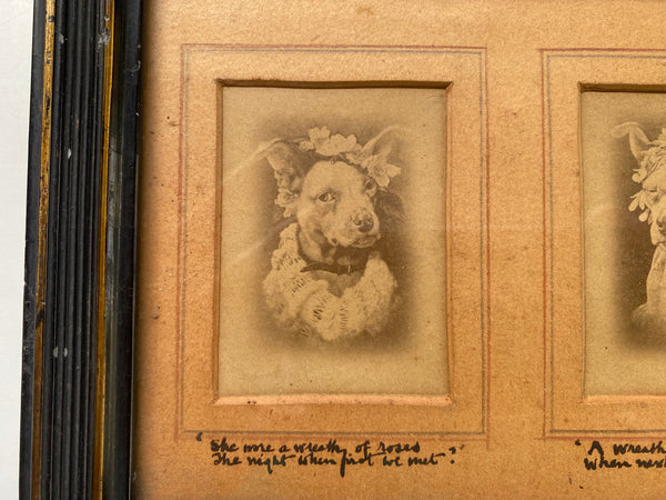 Rare Antique 19th Century Pet Dog Memorial Showing 3 Stages Of It’s Life With Poems Underneath - Source Vintage