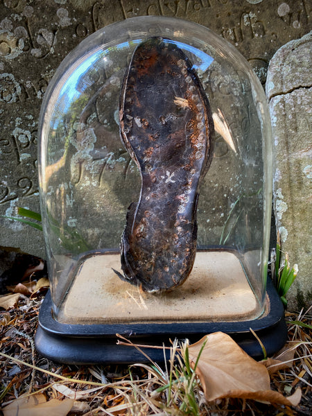 A Curious Antique 19th Century Child’s Shipwreck Shoe In Period Glass Display Dome