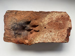 A Salvaged Victorian House Brick With A Curious Paw Print, Dating To Around 1860