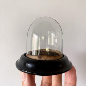 *RESERVED* The Tiniest 19th Century Glass Display Dome