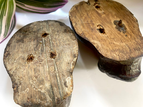 Antique 16th-17th Century Pair Carved Wood Lion Head Fragments - Source Vintage