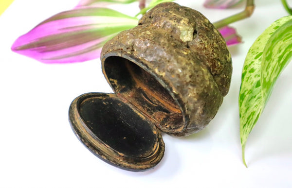 Rare Antique Victorian Papier Mache Novelty Snuff Box In The Form Of A Turd - Source Vintage