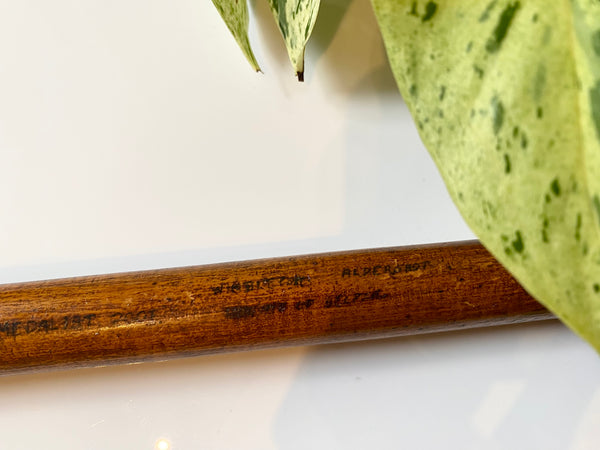 Rare Antique 19th Century Victorian Military Wooden Treen Spoon Award 1884 - Source Vintage