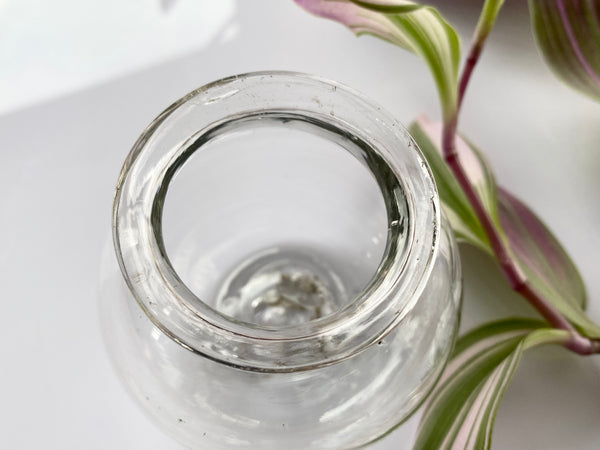 Antique 19th Glass Apothecary Leech Jar - Source Vintage