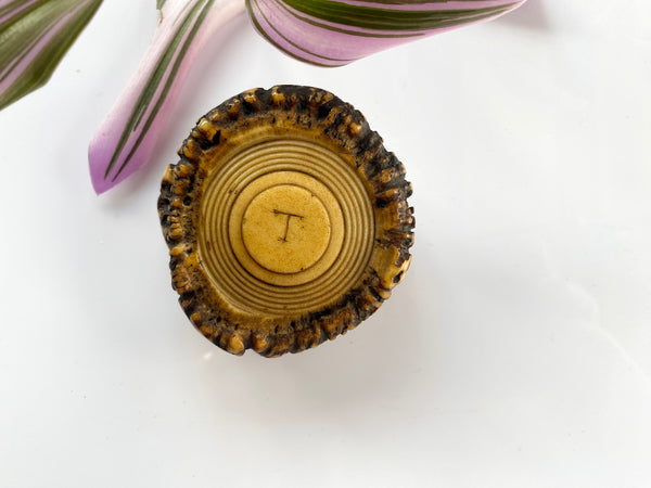 Rare Antique 18th Century Antler Snuff Box With Wolf’s Tooth And Note - Source Vintage
