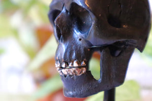 Rare Antique 19th Century Carved Ebony Memento Mori Skull c.1880