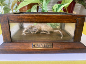 *RESERVED FOR TOM*Antique Early 20th Century Macabre Memorial Curiosity